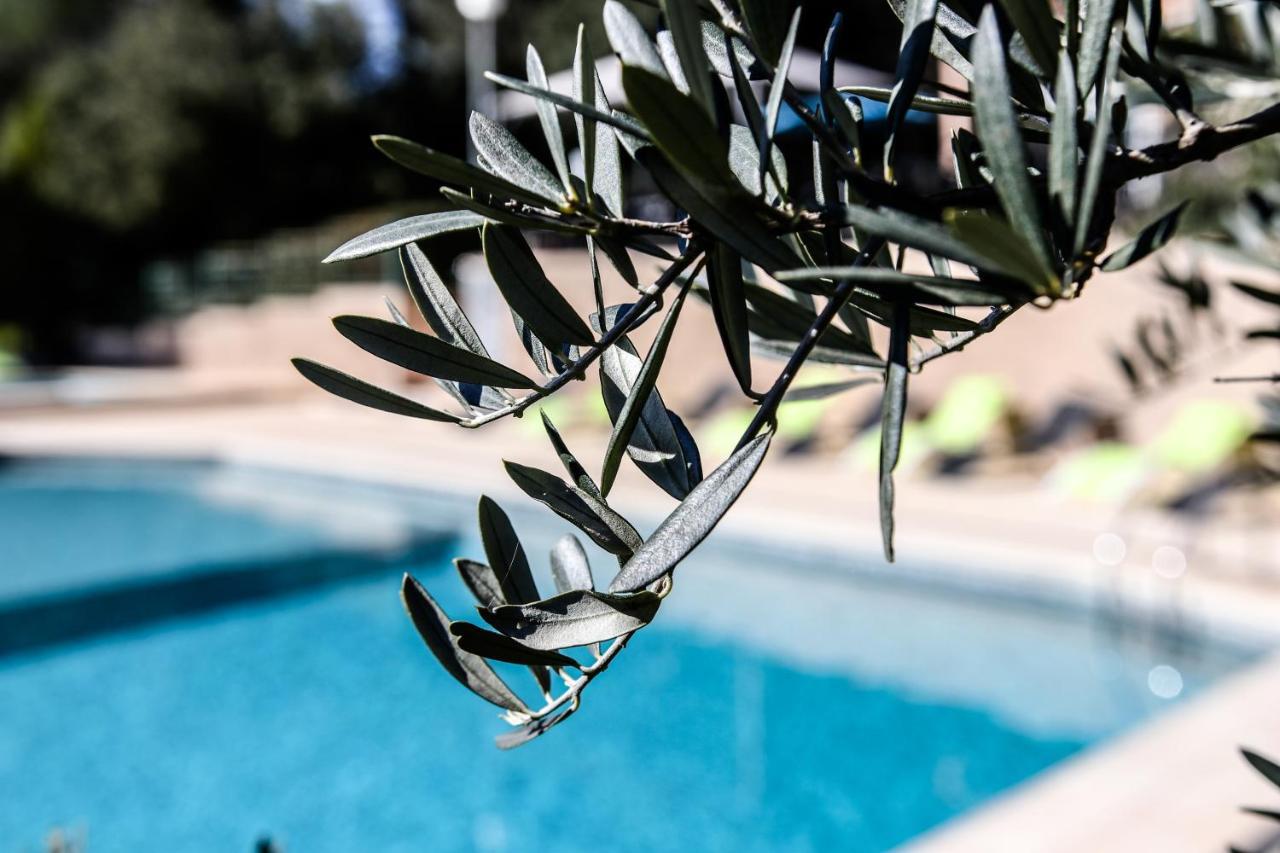 Les Arbousiers Village Hotel Provencal La Roquebrussanne Екстериор снимка