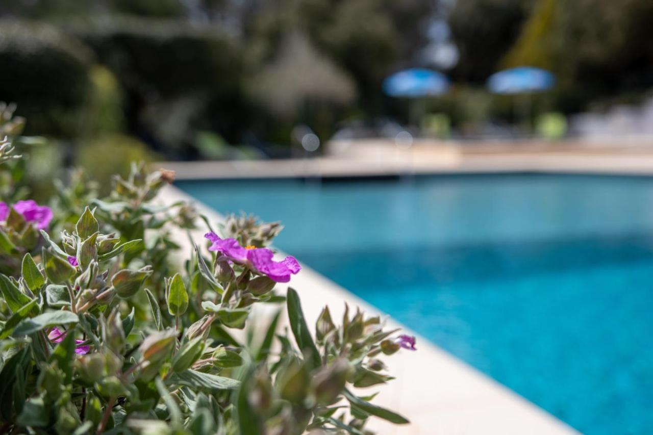 Les Arbousiers Village Hotel Provencal La Roquebrussanne Екстериор снимка